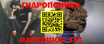 бошки Чапаевск