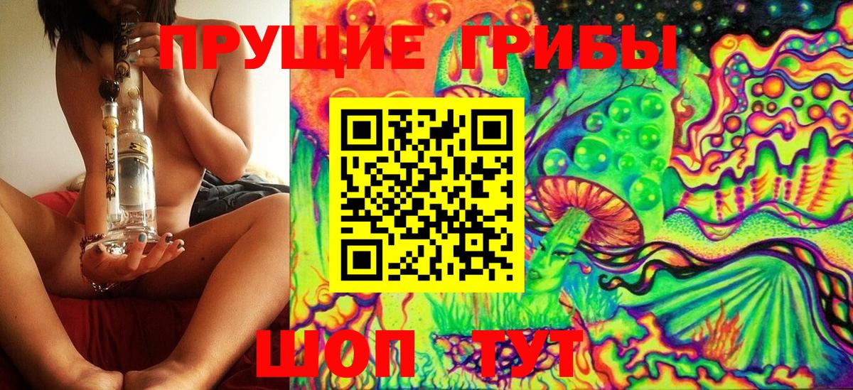 Псилоцибиновые грибы MAGIC MUSHROOMS  Вход с VPN  Старая Купавна  Псилоцибиновые грибы прущие грибы 